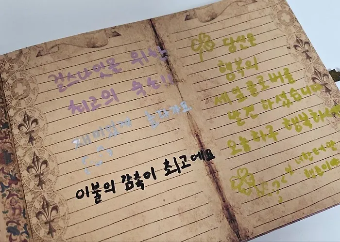 Ddm 동대문